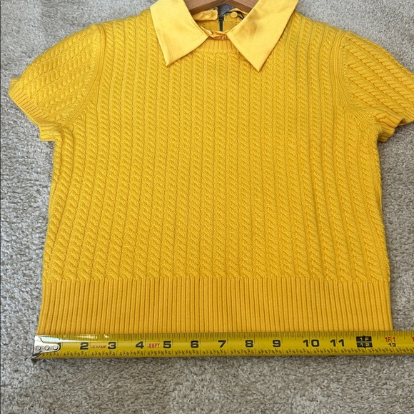 Alice and Olivia Abbott with collar - Picture 13 of 15